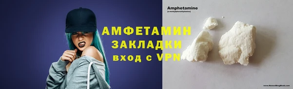 стаф Каменногорск