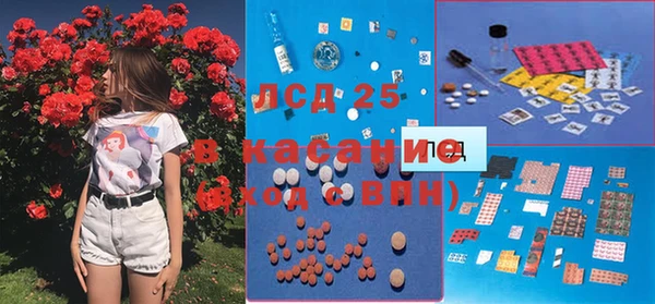 стаф Каменногорск
