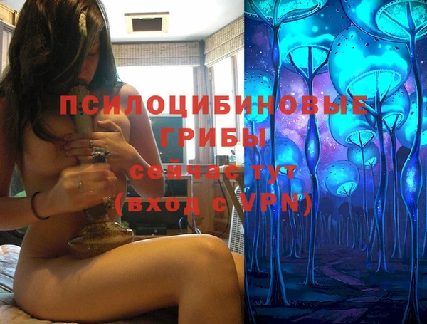 винт Каменск-Шахтинский
