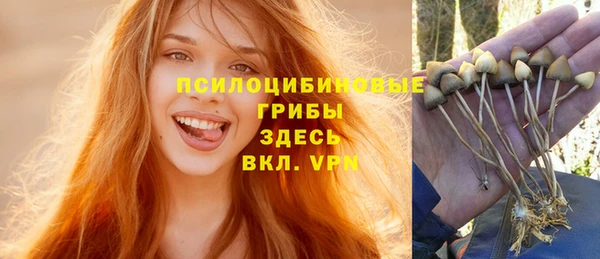 стаф Каменногорск
