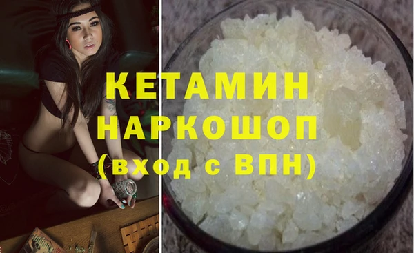 стаф Каменногорск