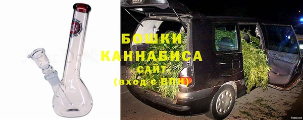 стаф Каменногорск