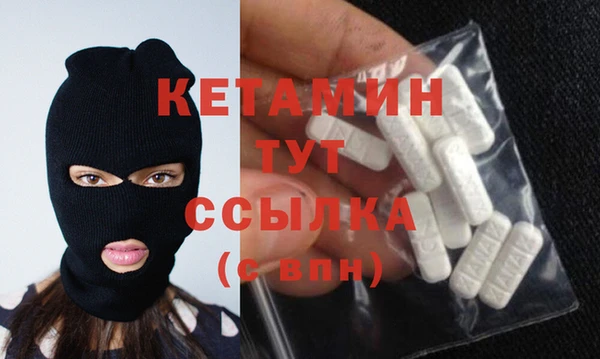 стаф Каменногорск