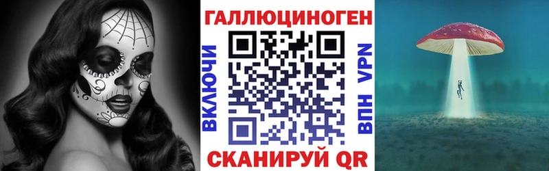 Псилоцибиновые грибы GOLDEN TEACHER  Купить где  Злынка 