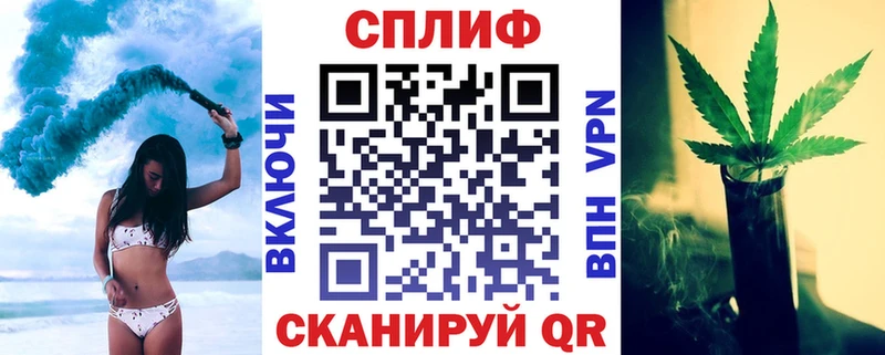 Канабис план  Купить  Злынка 
